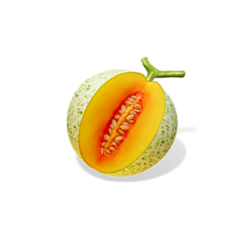 ninja-raccoon-frenzy_h_cantaloupe