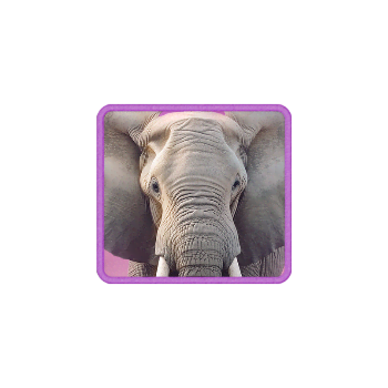 safari-wilds_symbol_h_elephant_a